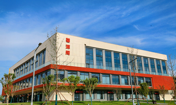 retouch_2025060820234346_副本