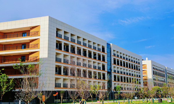 retouch_2025060820300709_副本