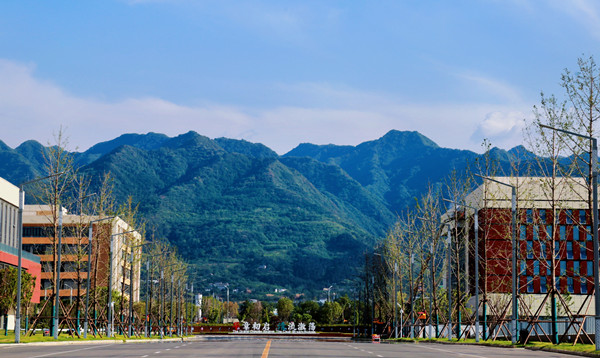 retouch_2025060821223438_副本